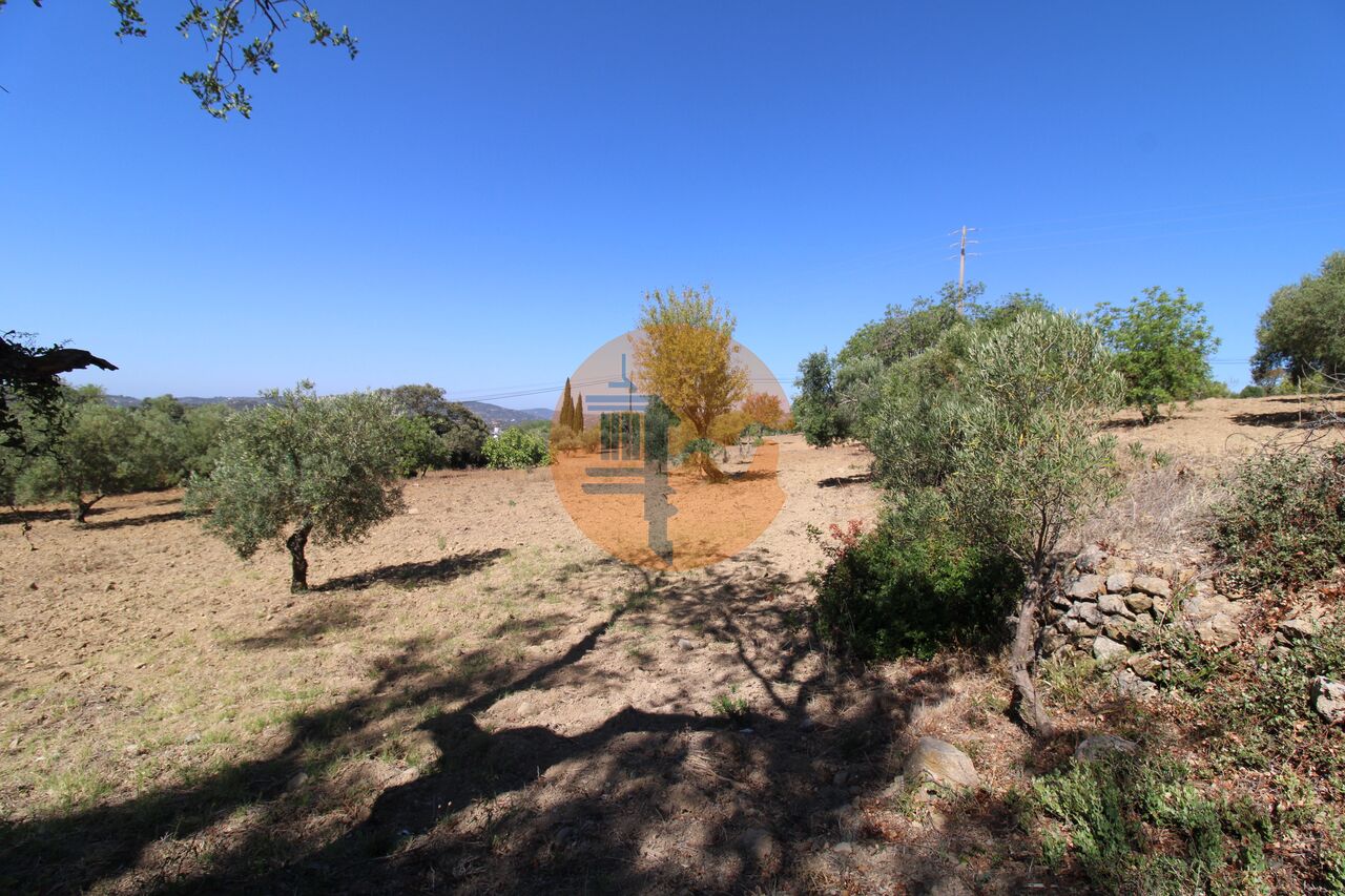 Plot for sale in Faro 10