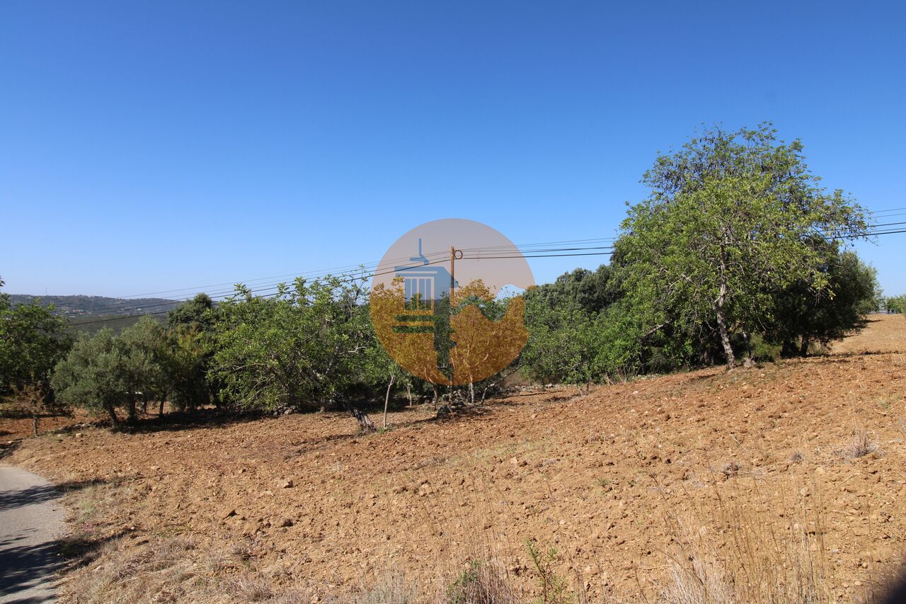 Plot for sale in Faro 8