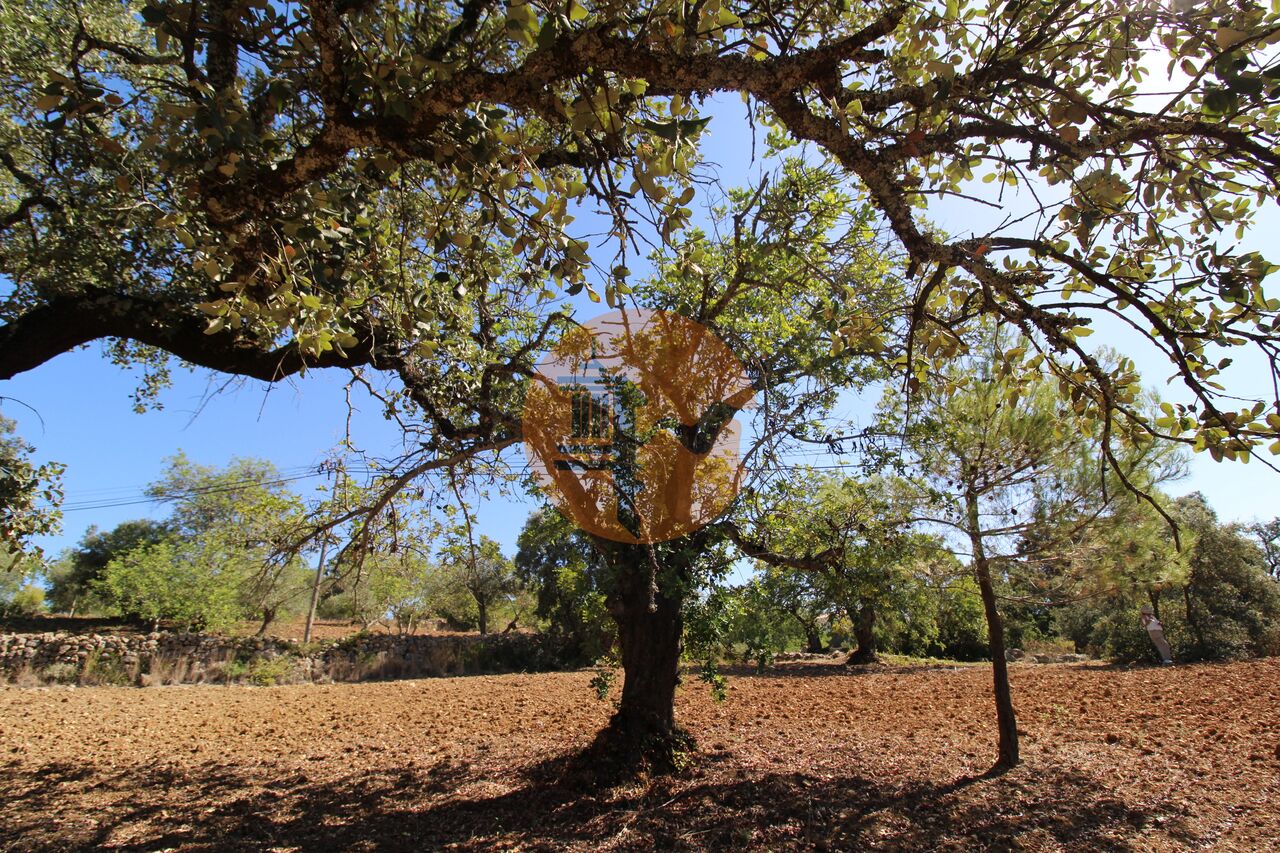 Plot à vendre à Faro 17