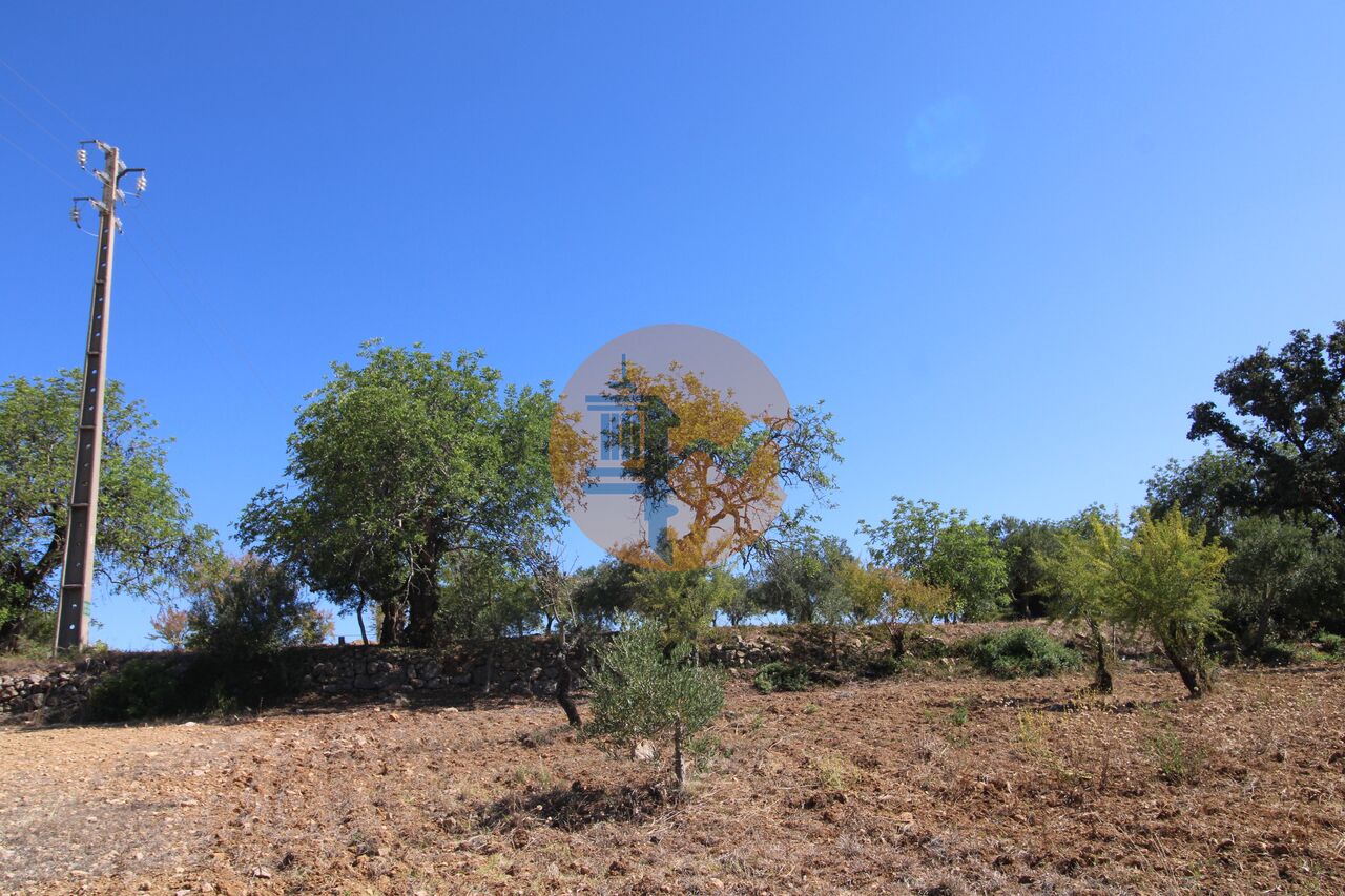 Plot for sale in Faro 18