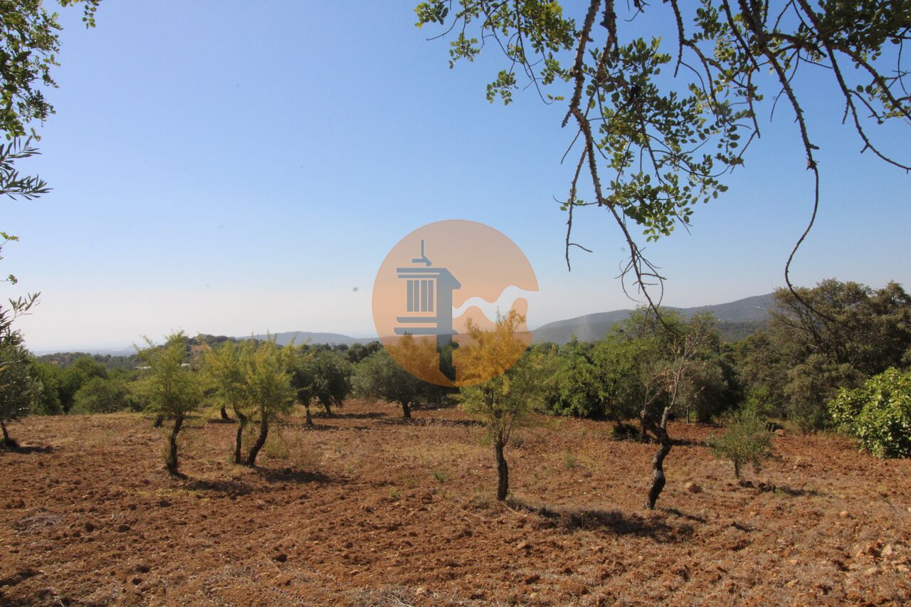 Plot for sale in Faro 19