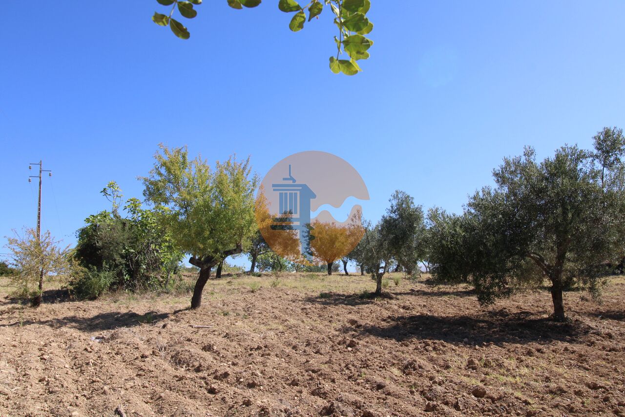 Plot for sale in Faro 21