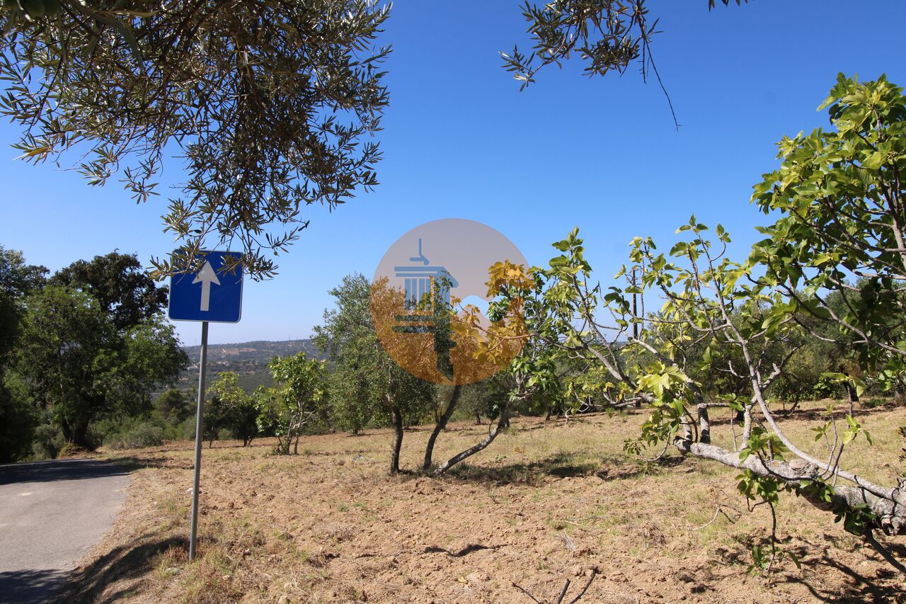 Plot à vendre à Faro 32