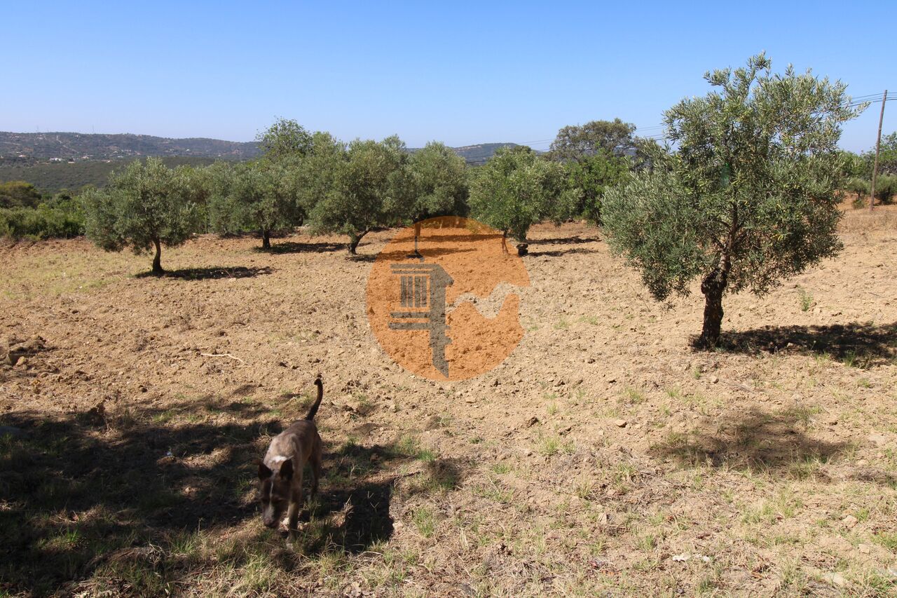 Plot for sale in Faro 22