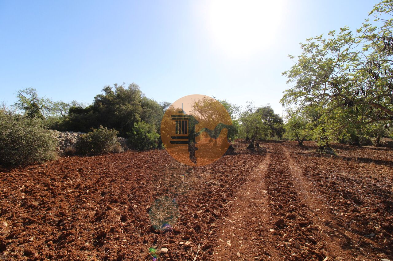 Plot for sale in Faro 1