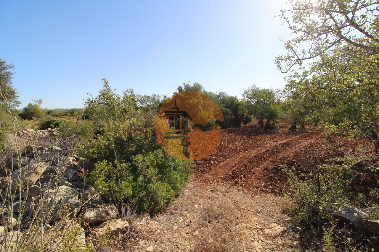 Plot for sale in Faro 9