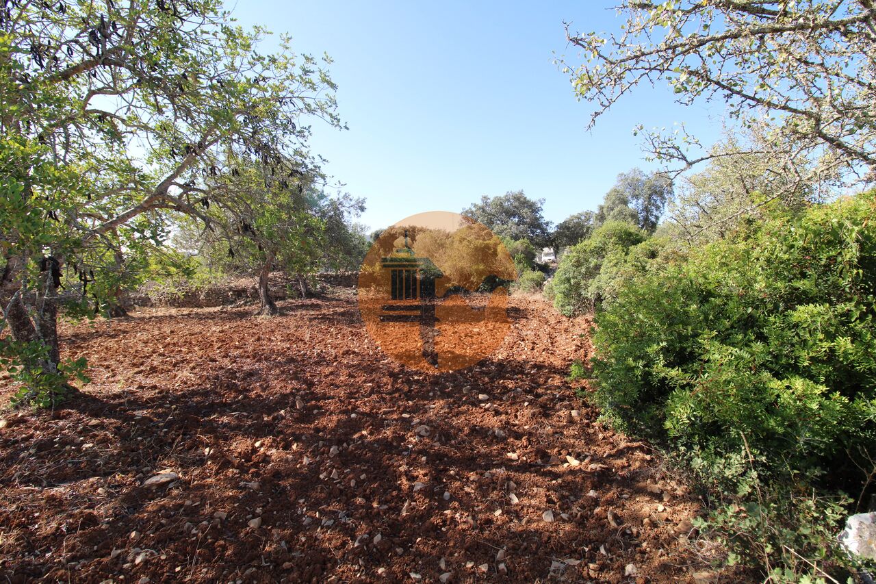 Plot for sale in Faro 2