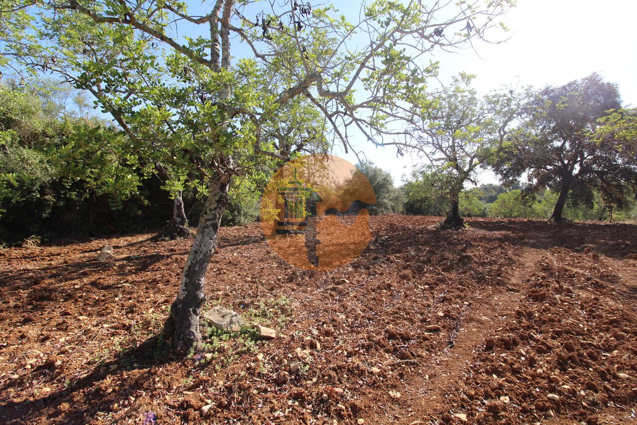 Plot for sale in Faro 4