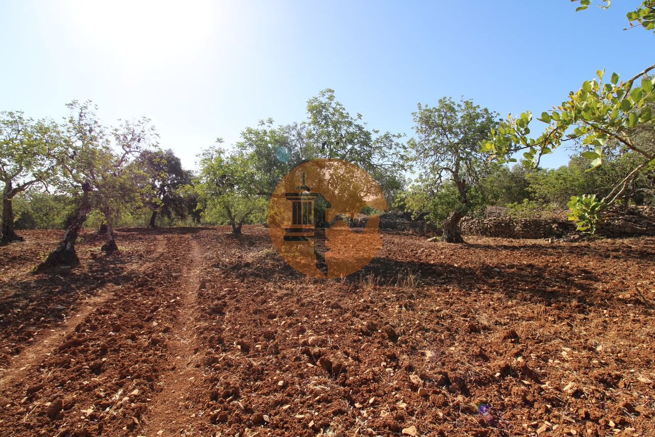 Plot for sale in Faro 5