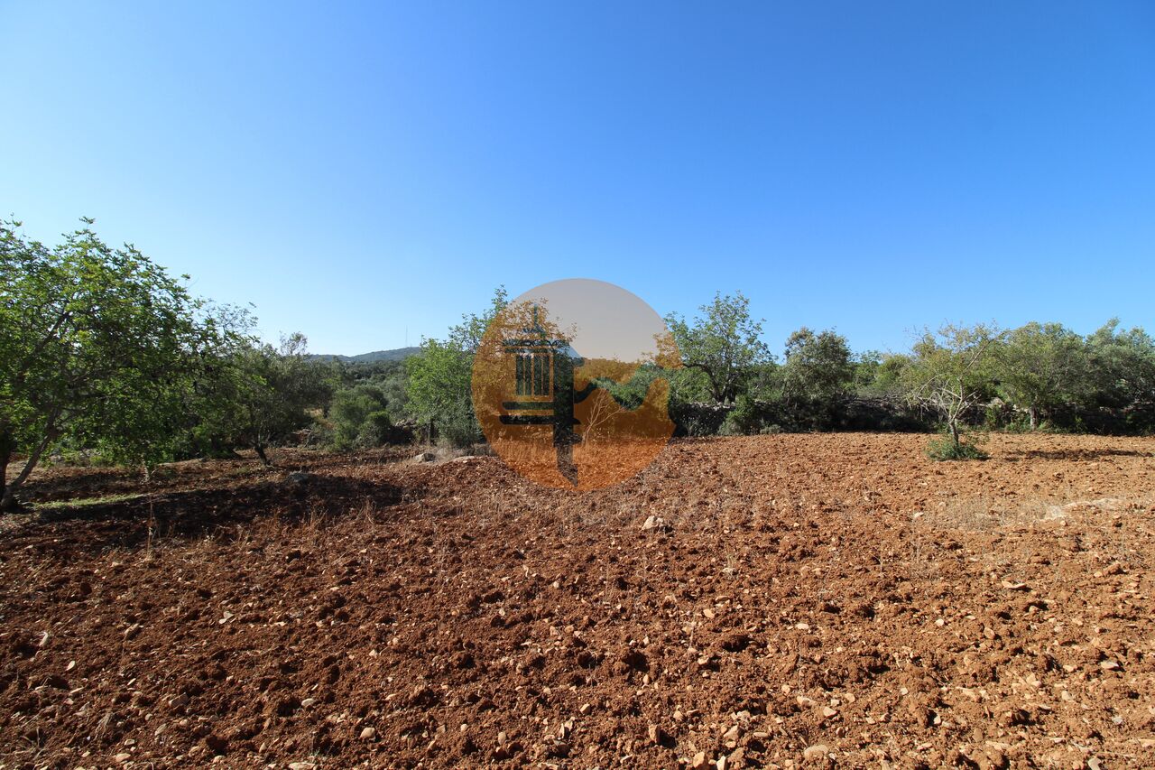 Plot for sale in Faro 11