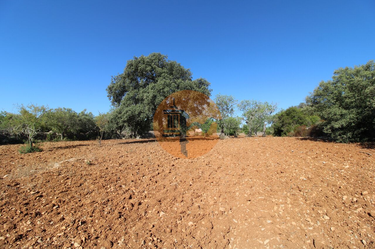 Plot for sale in Faro 13