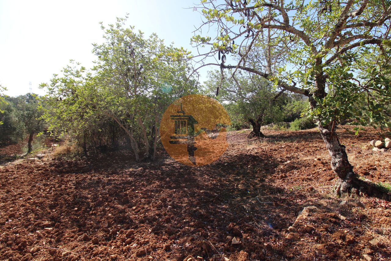 Plot for sale in Faro 14