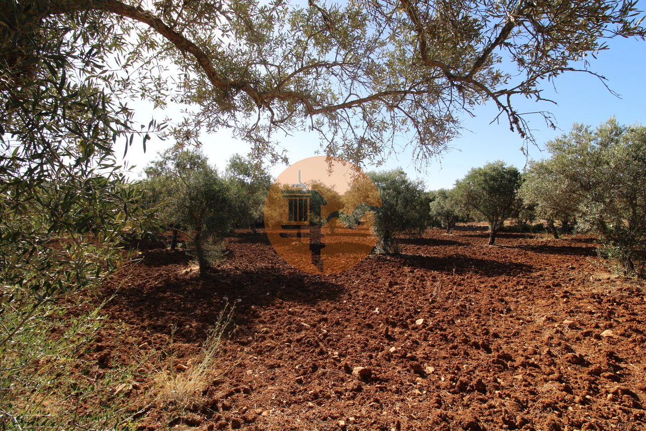 Plot for sale in Faro 16