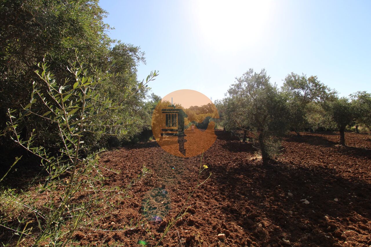 Plot for sale in Faro 17