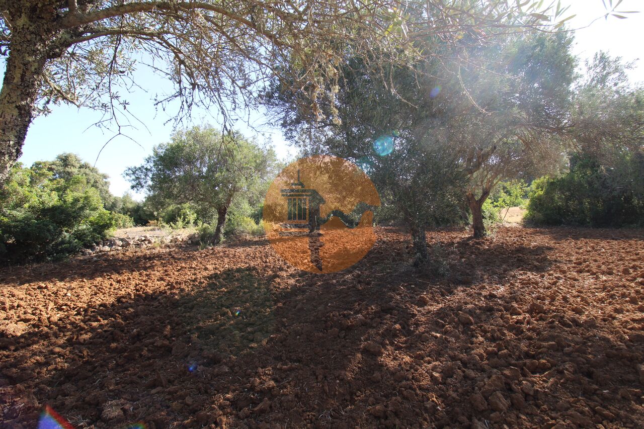 Plot for sale in Faro 19