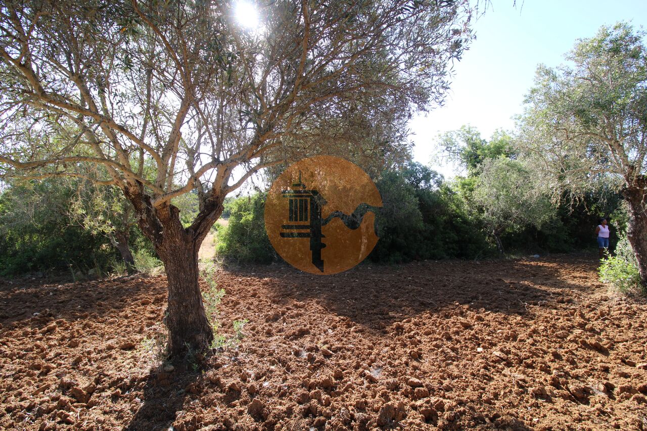 Plot for sale in Faro 21