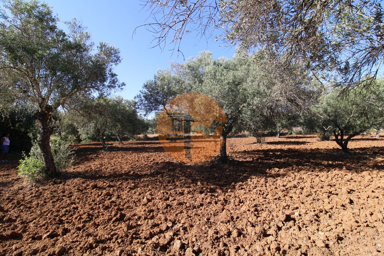 Plot for sale in Faro 22