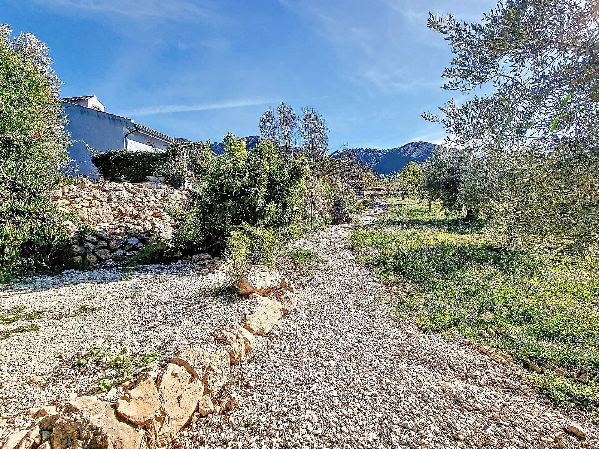 Maison de campagne à vendre à Guardamar and surroundings 42