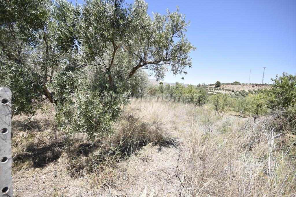 Plot for sale in Almería and surroundings 4