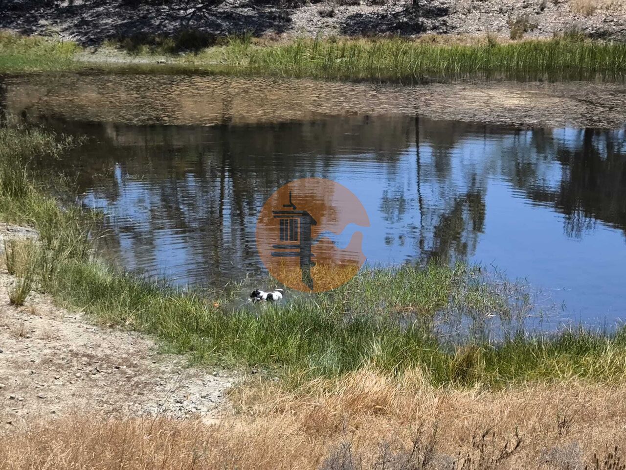 Działka na sprzedaż w Faro 1