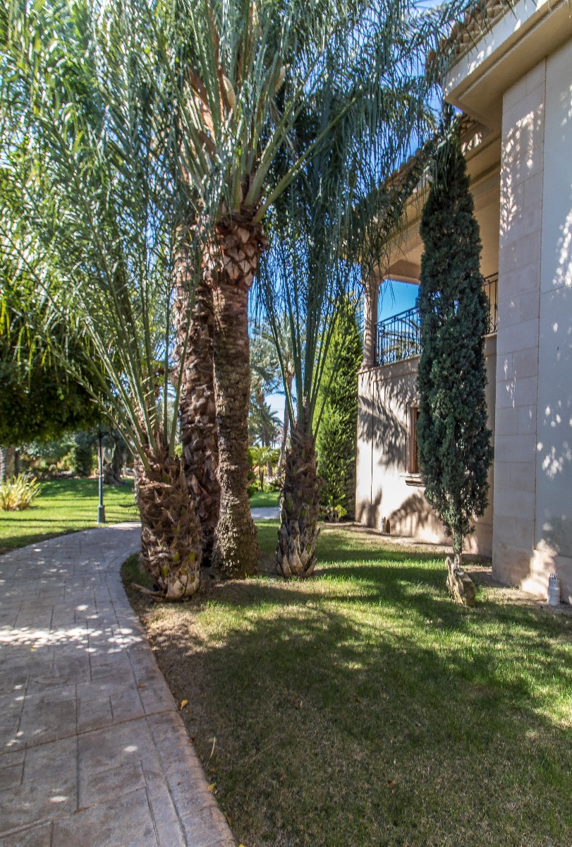 Villa te koop in Elche 35