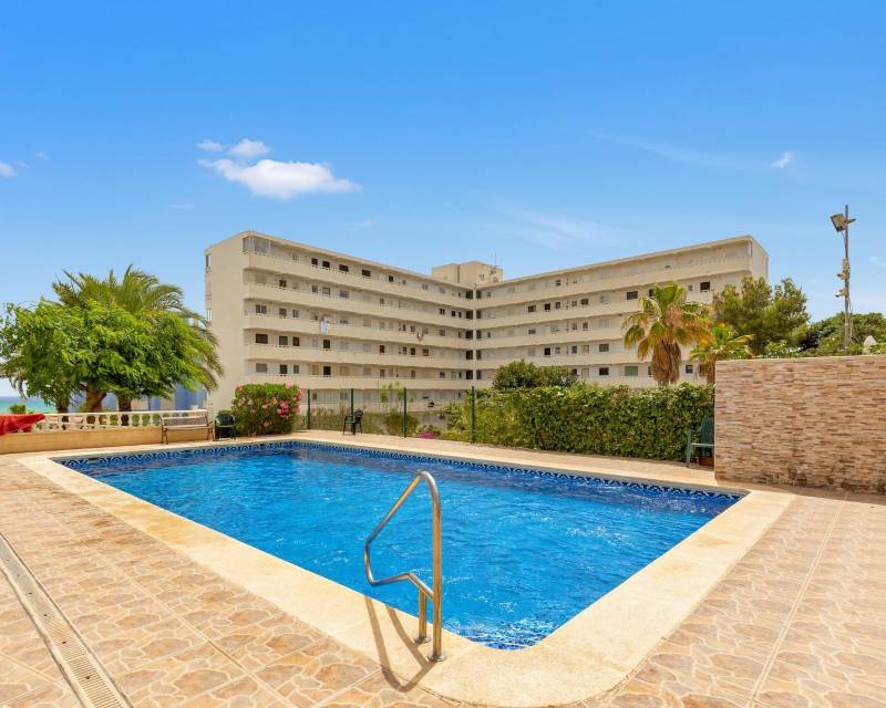 Penthouse te koop in Torrevieja and surroundings 2