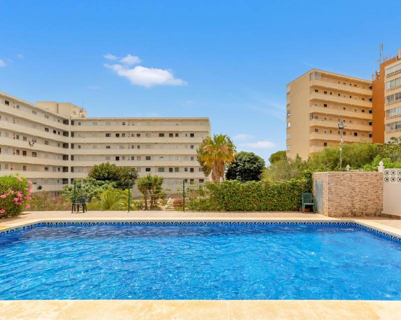 Penthouse for sale in Torrevieja and surroundings 24