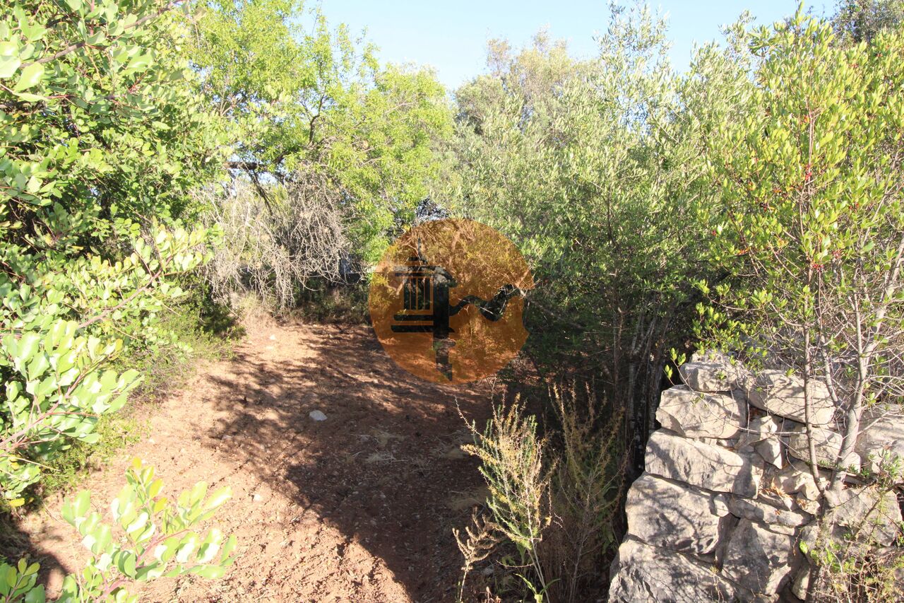 Plot for sale in Faro 20