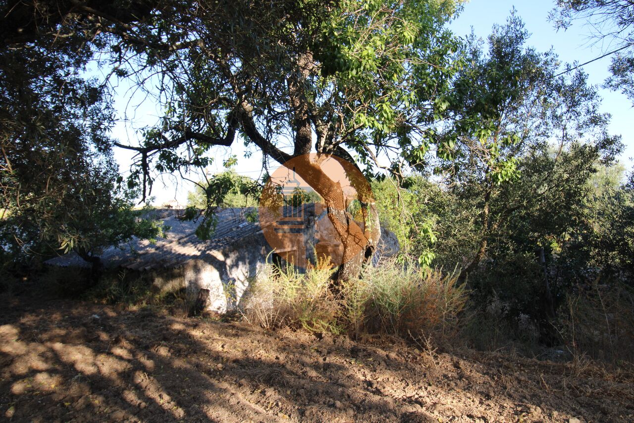 Plot à vendre à Faro 15