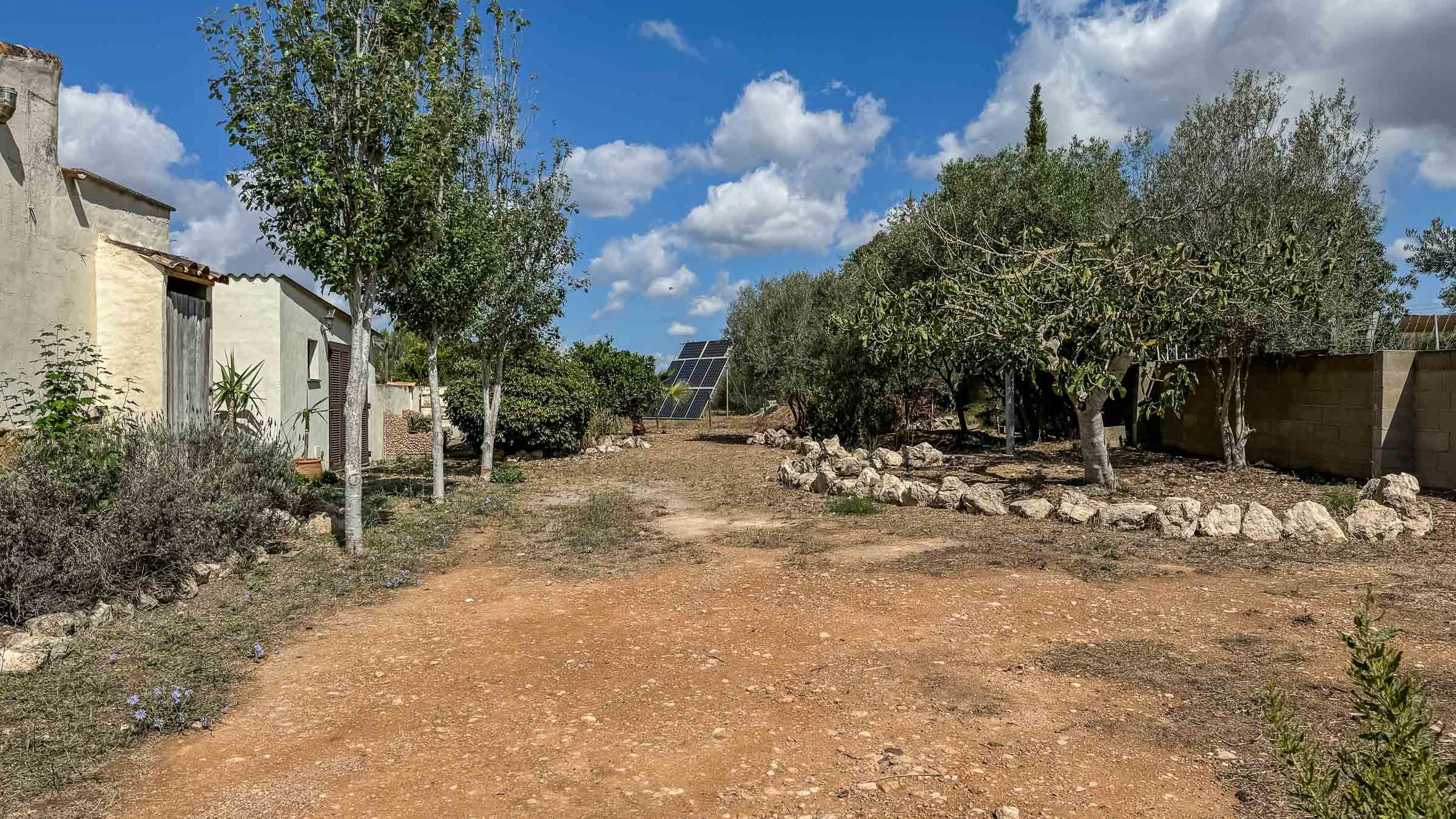 Countryhome te koop in Mallorca South 4