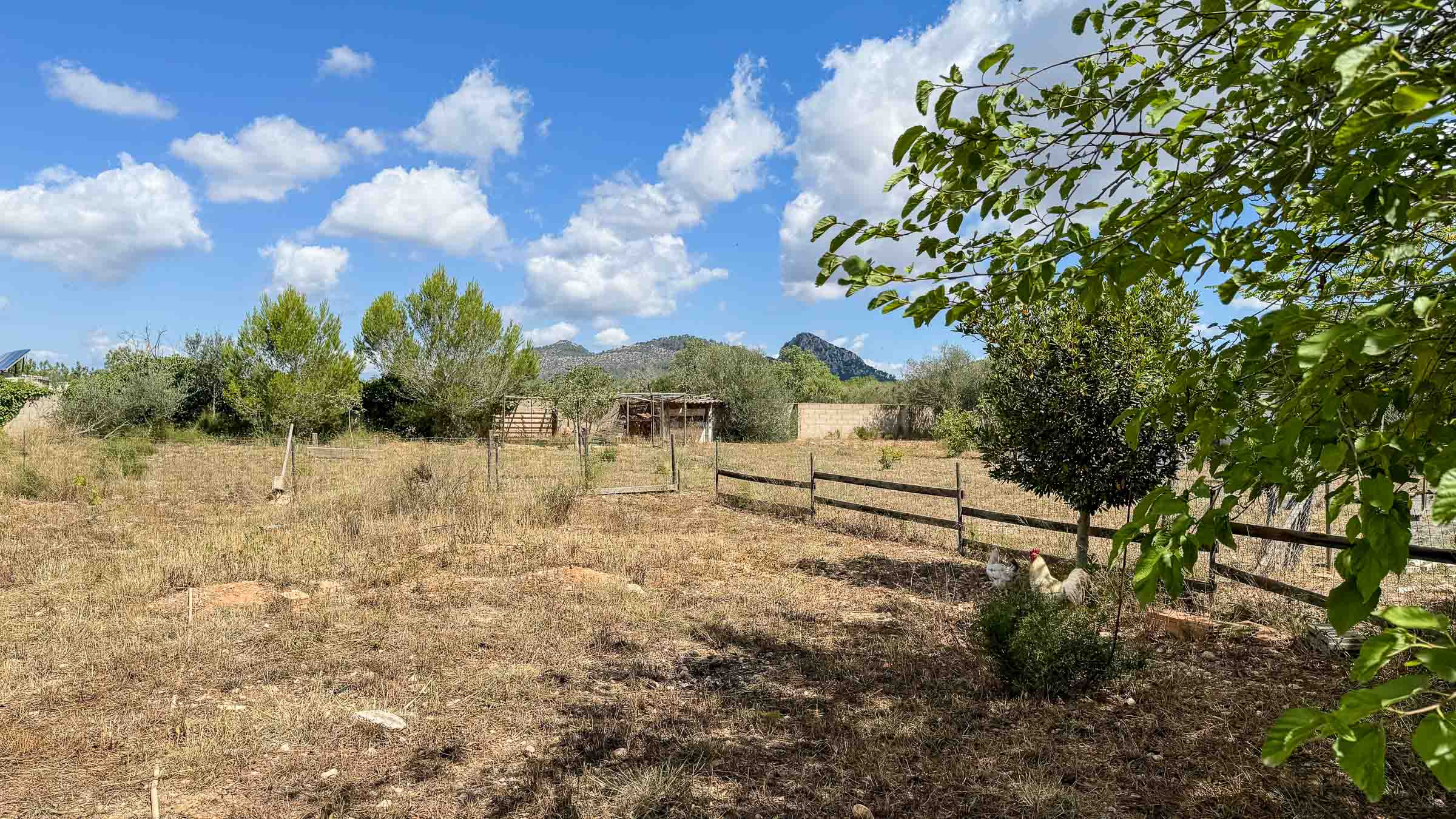 Maison de campagne à vendre à Mallorca South 12