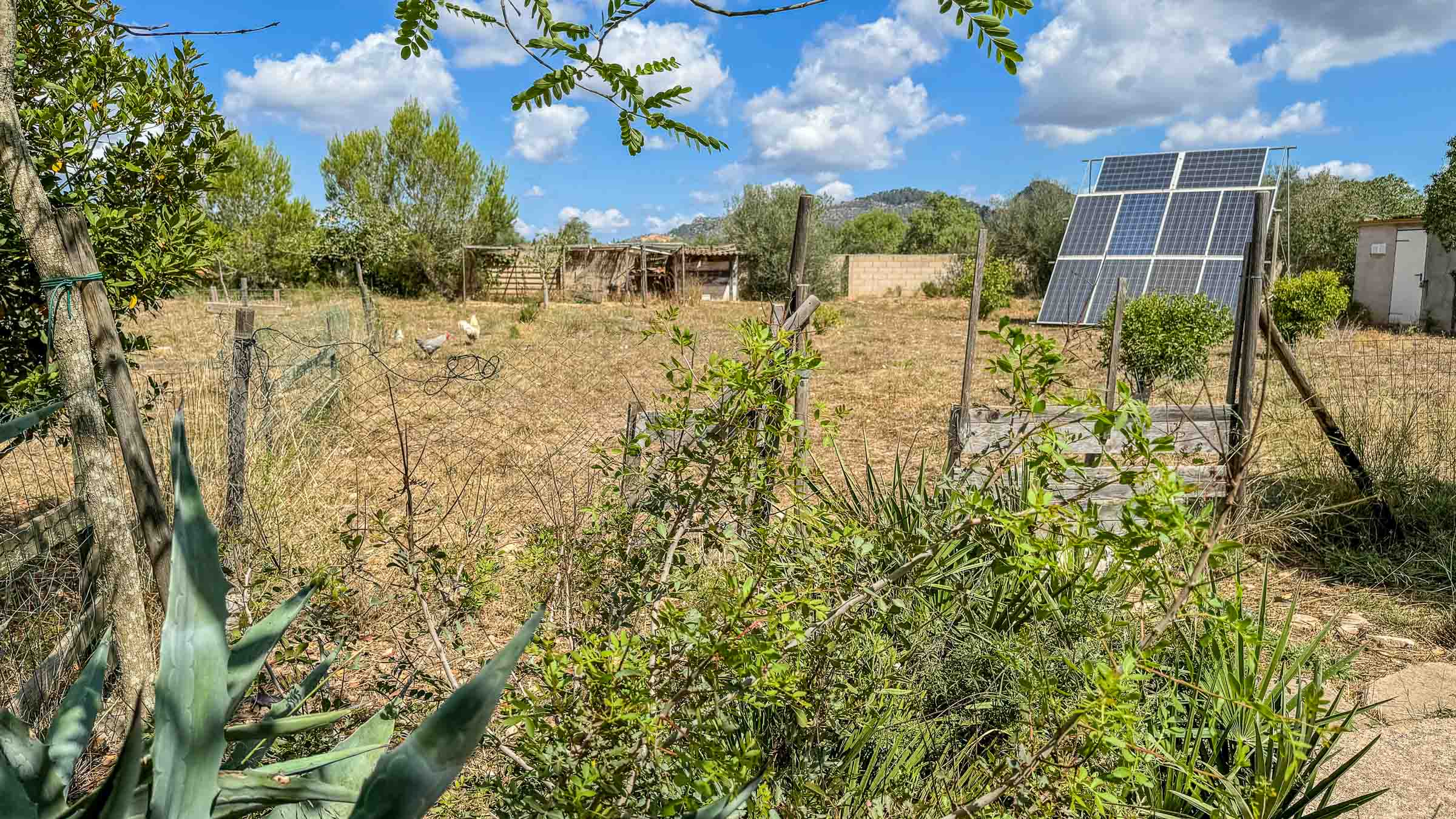 Maison de campagne à vendre à Mallorca South 14