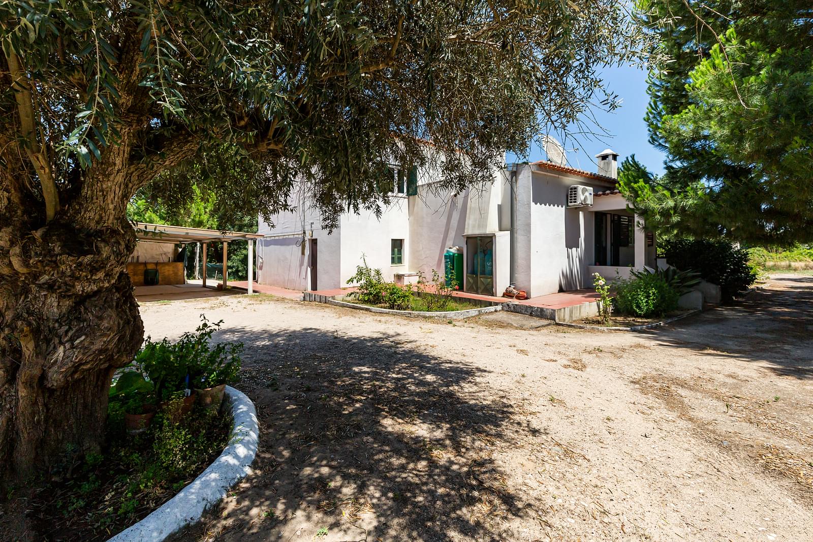 Countryhome for sale in Guardamar and surroundings 2