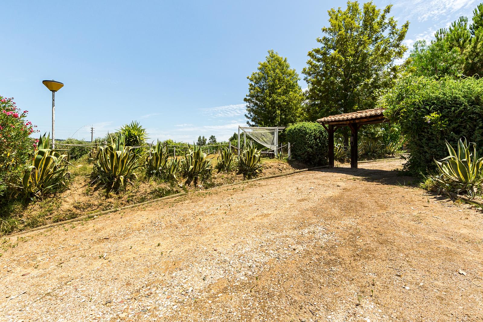 Maison de campagne à vendre à Guardamar and surroundings 24