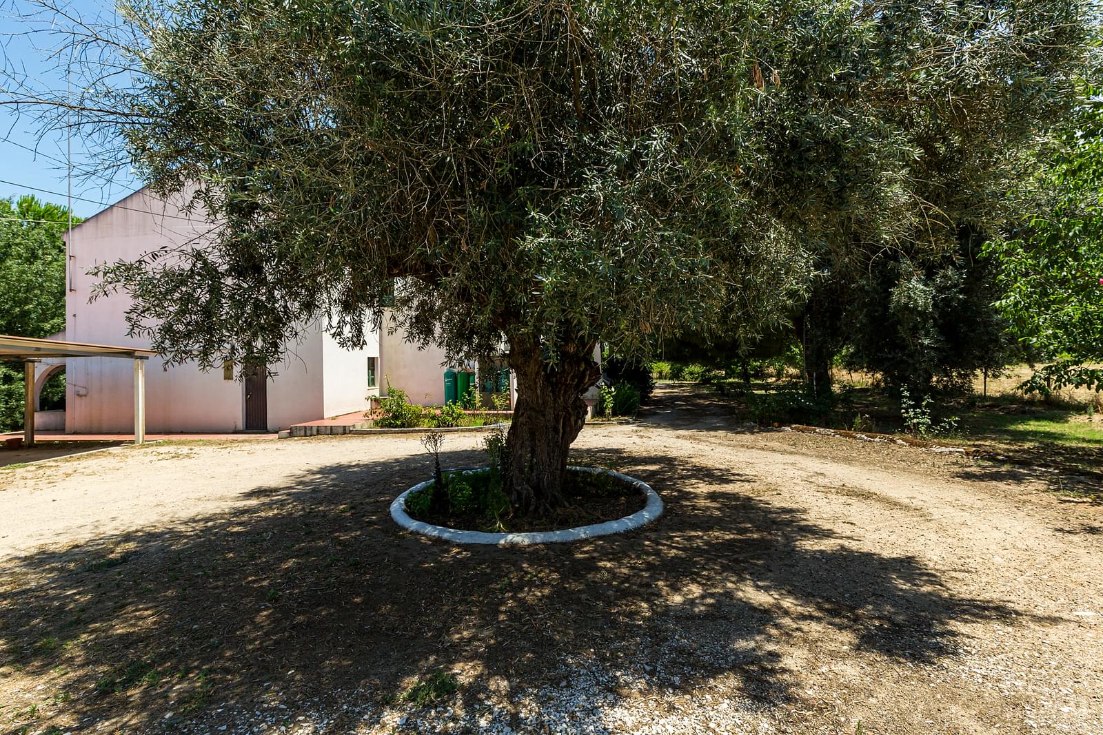 Maison de campagne à vendre à Guardamar and surroundings 9