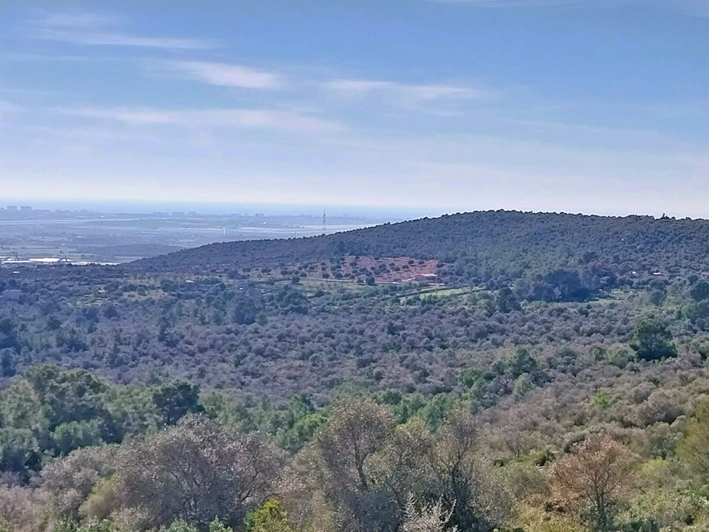 Plot à vendre à Castelldefels and Baix Llobregat 3