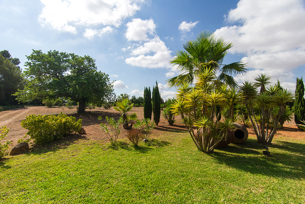 Countryhome for sale in Mallorca South 15