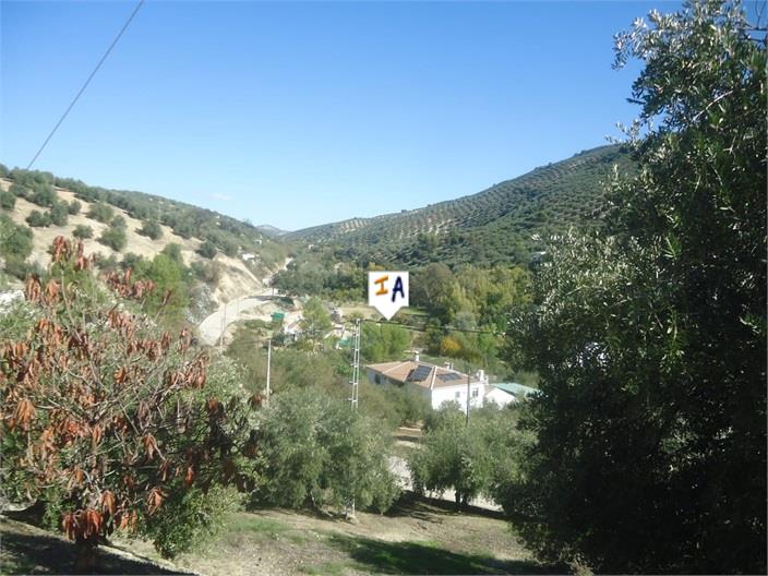 Countryhome for sale in Guardamar and surroundings 16