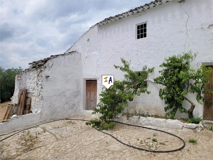 Countryhome for sale in Guardamar and surroundings 3