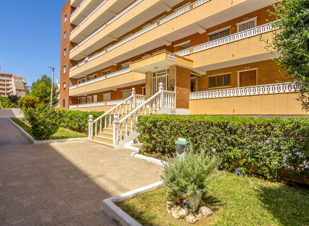 Apartament na sprzedaż w Torrevieja and surroundings 22