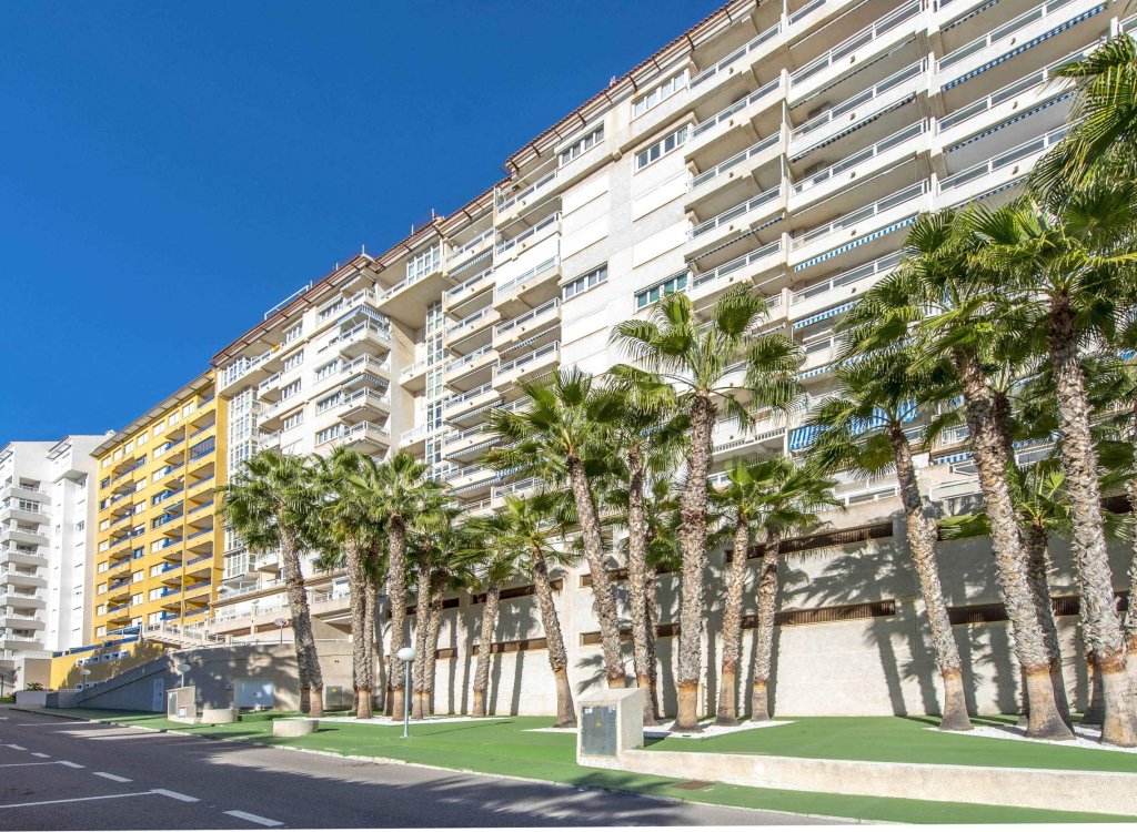 Appartement à vendre à Alicante 19