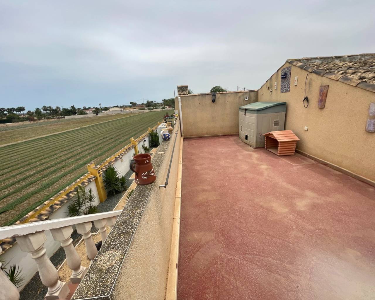 Countryhome for sale in Guardamar and surroundings 19