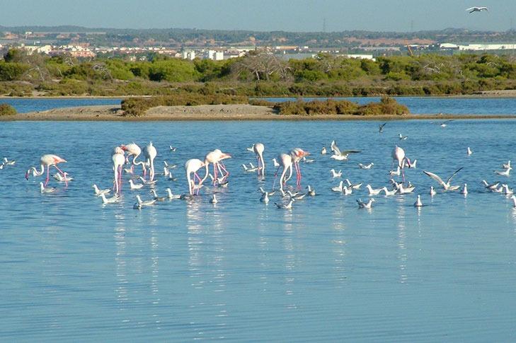 Chalé en venta en San Pedro del Pinatar and San Javier 16