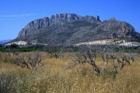 Adosada en venta en Alicante 10