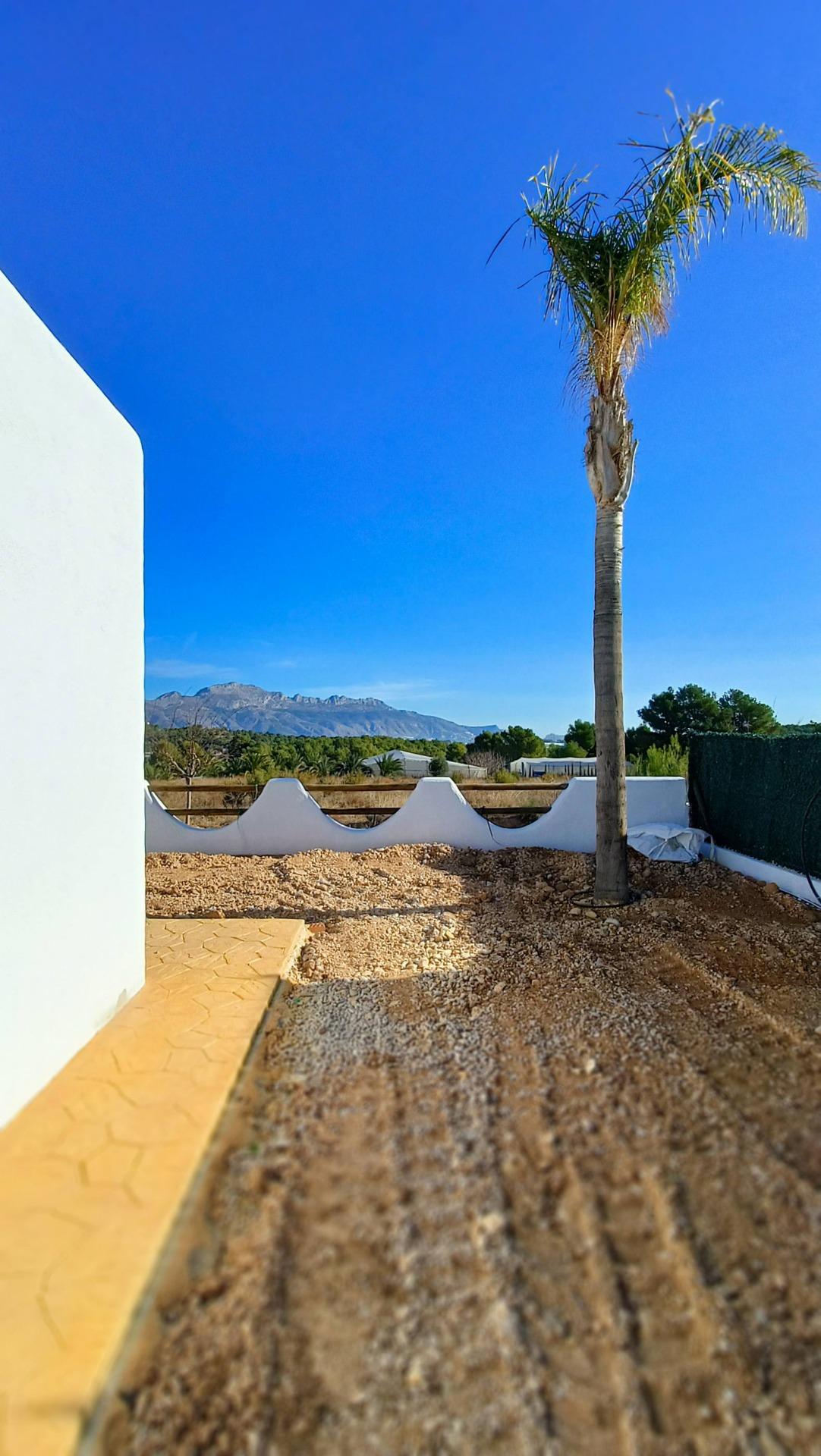 Villa à vendre à Alicante 21