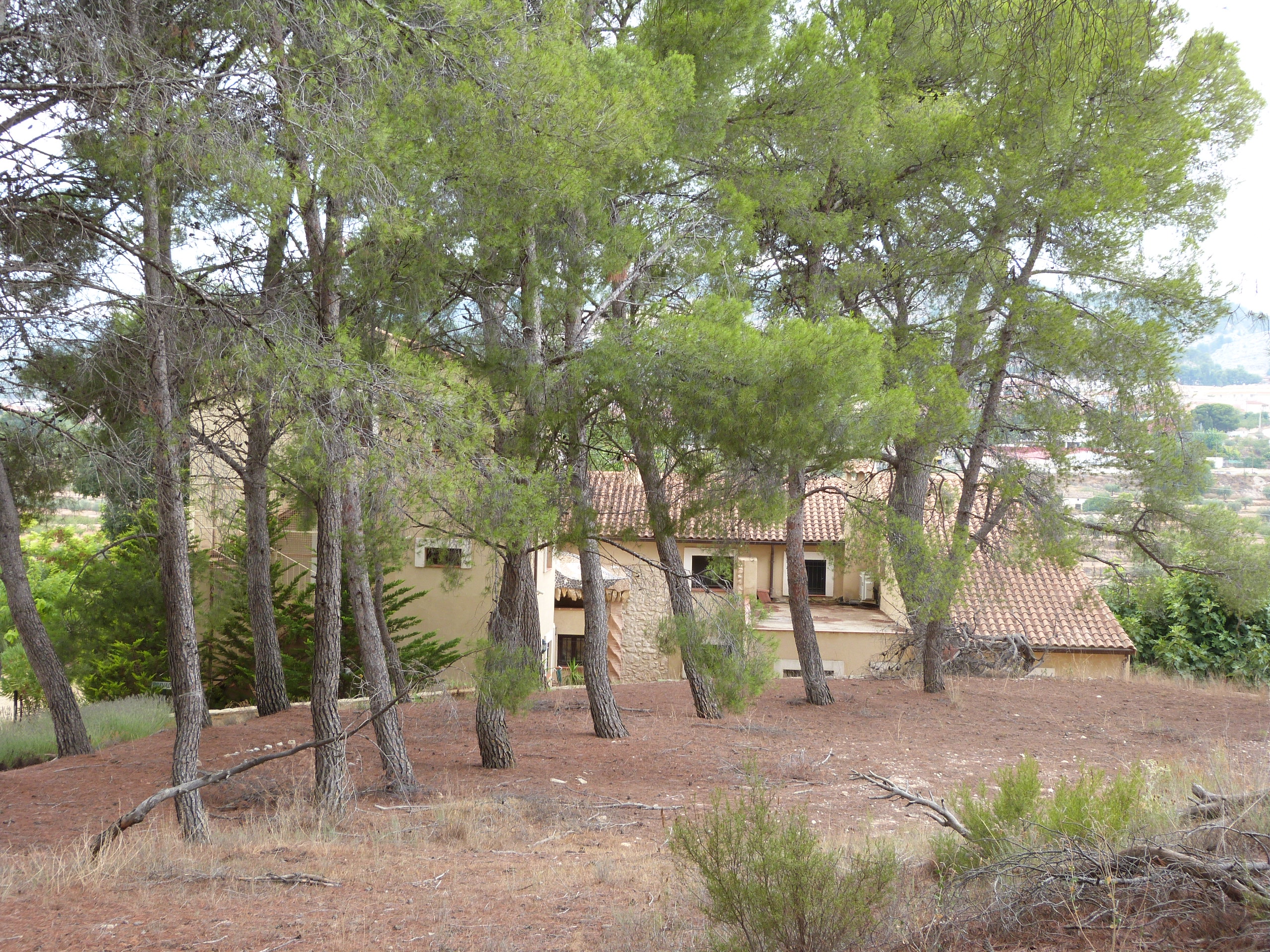 Hus på landet till salu i Alicante 32