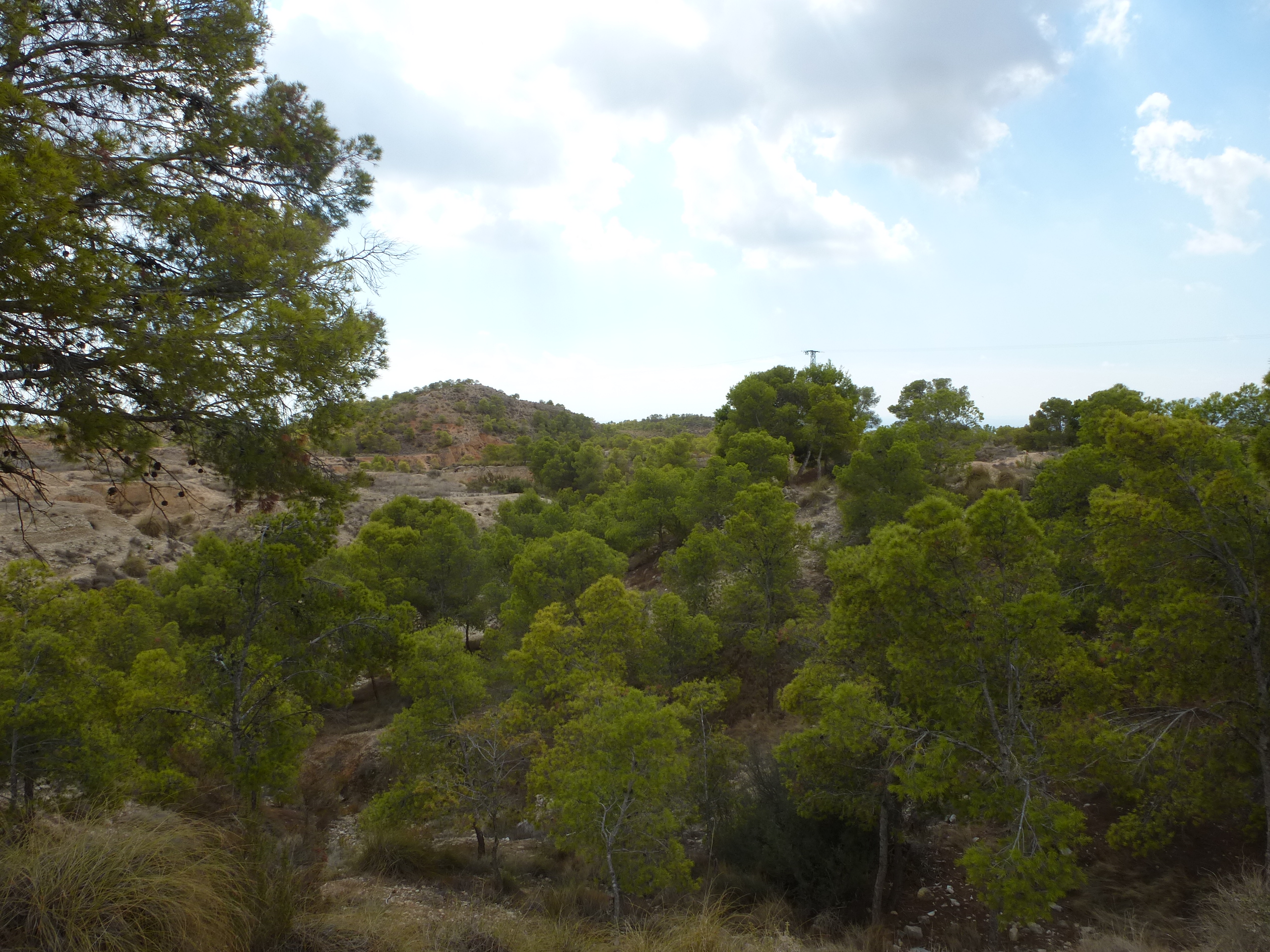 Plot for sale in Alicante 10