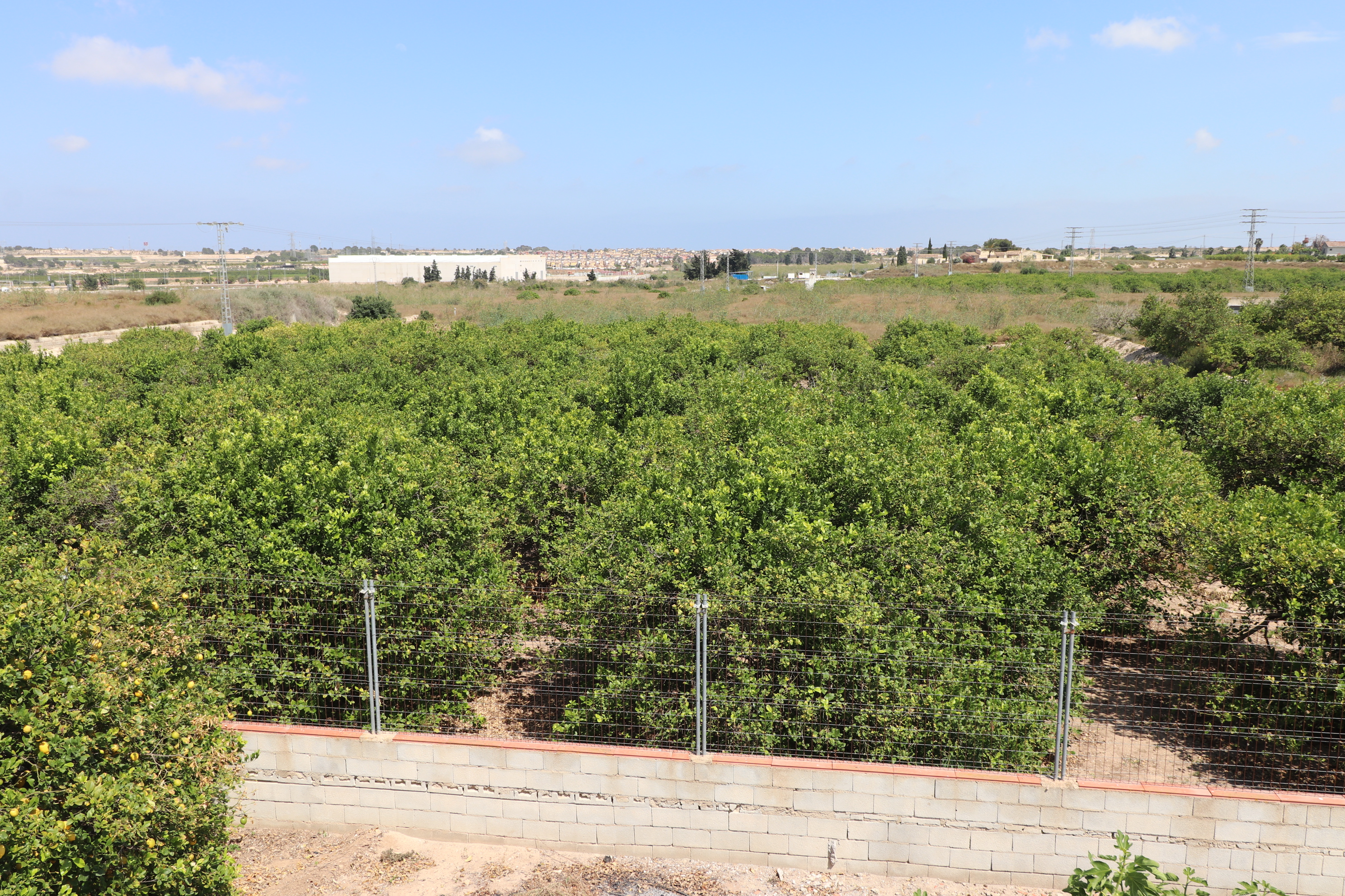 Casas de Campo en venta en Alicante 28