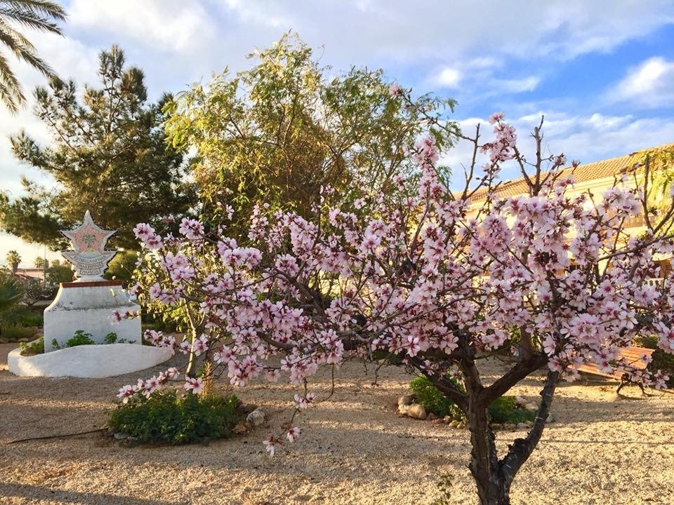 Villa à vendre à Cartagena and surroundings 31