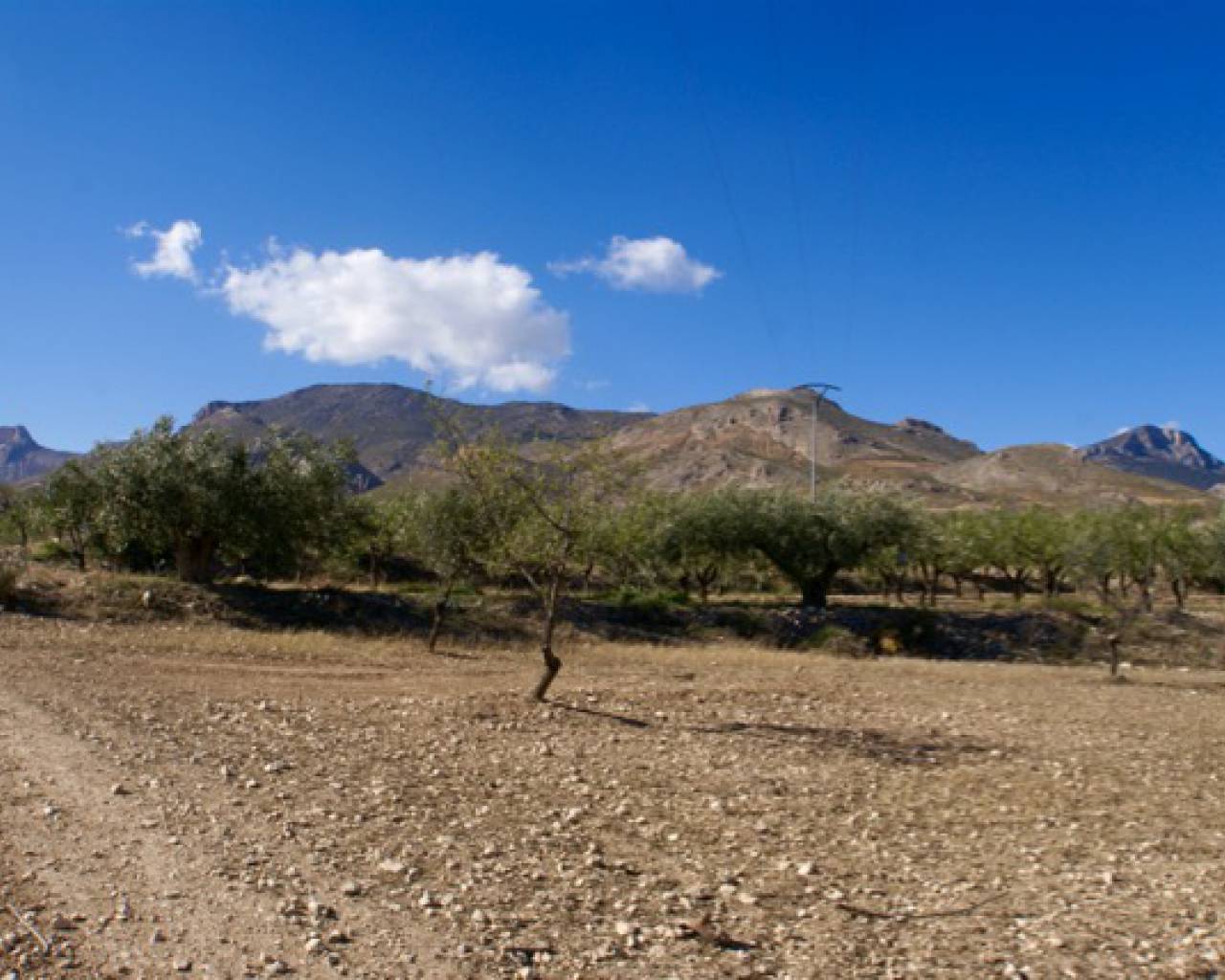 Plot for sale in Lorca 10